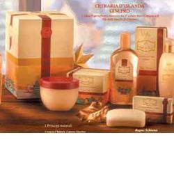 NAJTU FIABE GINEPRO TALCO LIQUIDO 200 ML