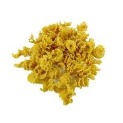 PASTA SECCA UOVO TROTTOLE 250 G
