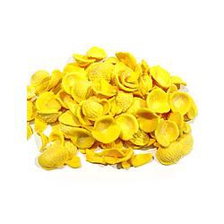 PASTA SECCA UOVO ORECCHIETTE 250 G