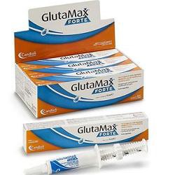 GLUTAMAX FORTE PASTA GATTI 15 ML 6 PEZZI