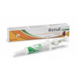 RENAL GATTI PASTA SIRINGA 15 ML