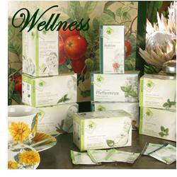 NEUNERS TISANA LINEA BIO 20 BUSTINE