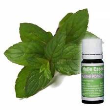 MENTA PIPERITA OLIO ESS 20ML
