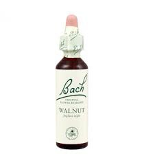 WALNUT BACH ORIG 10ML