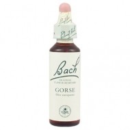GORSE BACH ORIG 10ML