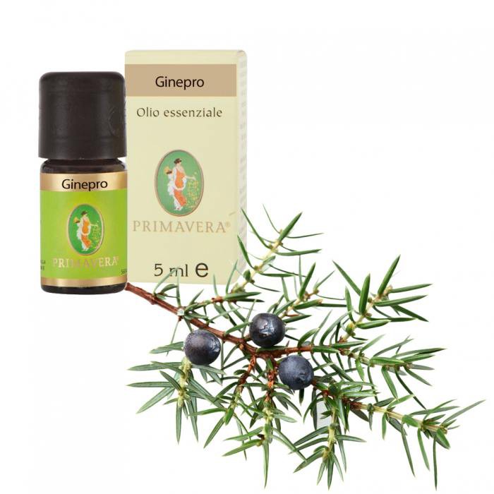 GINEPRO OLIO ESS BIO 5ML