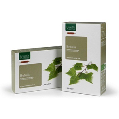 BETULLA 20AB 15ML