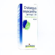 CRATAEGUS OXYACANTHA 60ML MG