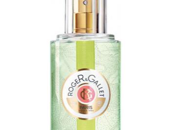 FEUILLE DE FIGUIER 100 ML