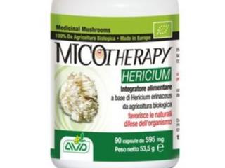 MICOTHERAPY HERICIUM 90CPS