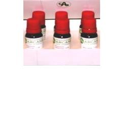 THUYA OCCIDENT 6LM 10ML GTT