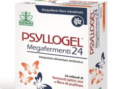 PSYLLOGEL FERMENTI VAN 20BUST