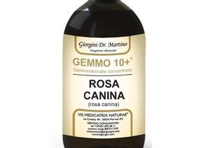 ROSA CANINA LIQ ANAL GEMMO 10+