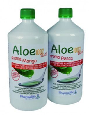 ALOE 100% BIO AROMA PESCA 1LT