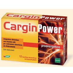 CARGIN POWER 12 BUSTINE