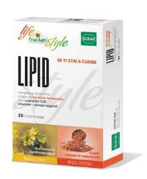 LIPID 20 COMPRESSE FRUCTAN