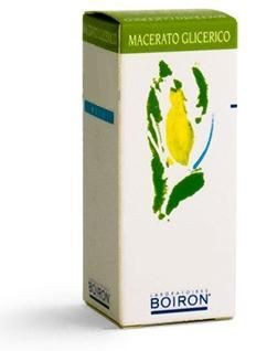 RUBUS IDAEUS 60ML MG