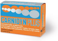 CARNIDYN PLUS 20 BUSTINE