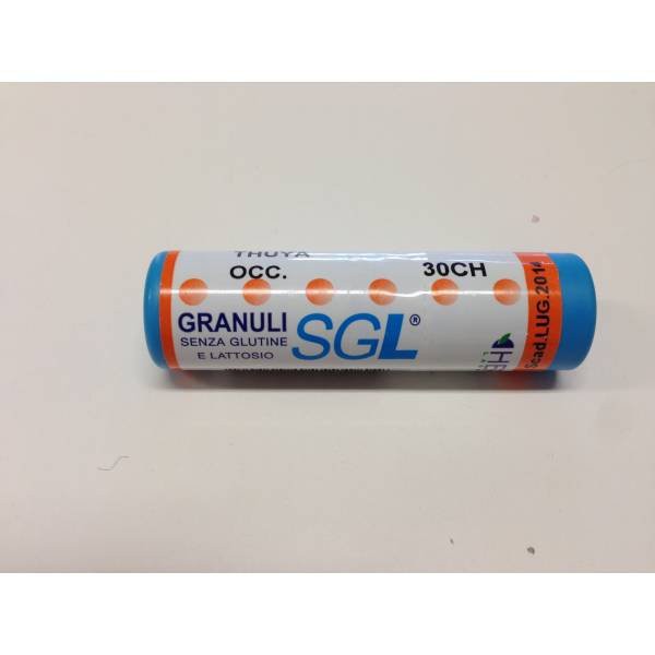 THUYA OCCID SGL 30CH 4G GR