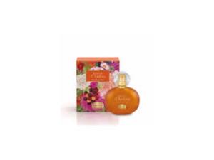 GOCCE D'AMBRA EDP 50ML