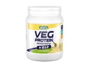 WHYNATURE VEG PROTEIN VAN 450G