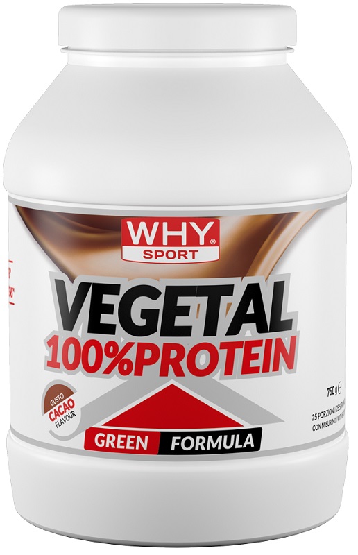 100% VEGETAL PROTEIN CACAO750G