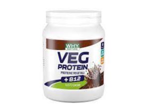 WHYNATURE VEG PROTEIN CACA450G