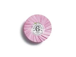 R&G FEUILLE DE THE SAP 100G