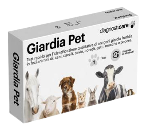 DIAGNOSTI CARE TEST GIARDIA PE