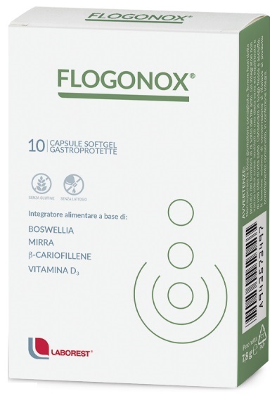 FLOGONOX 10CPS GASTROPROTETTE