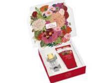 ROSSO D'AMBRA COF CR MANI+EDP