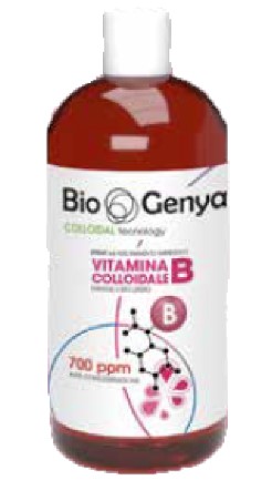 BIOGENYA VIT B COLLOID 500ML