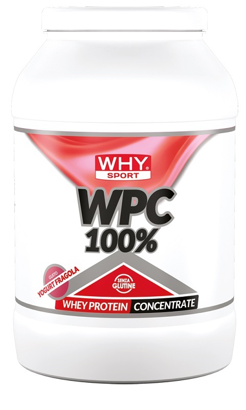 WHYSPORT WPC 100% WHEY YOG 2KG