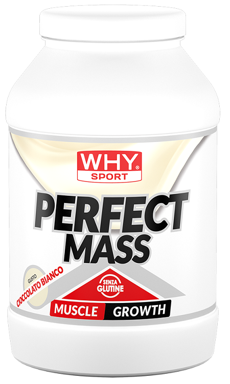 WHYSPORT PERFECT MASS CIOC BI