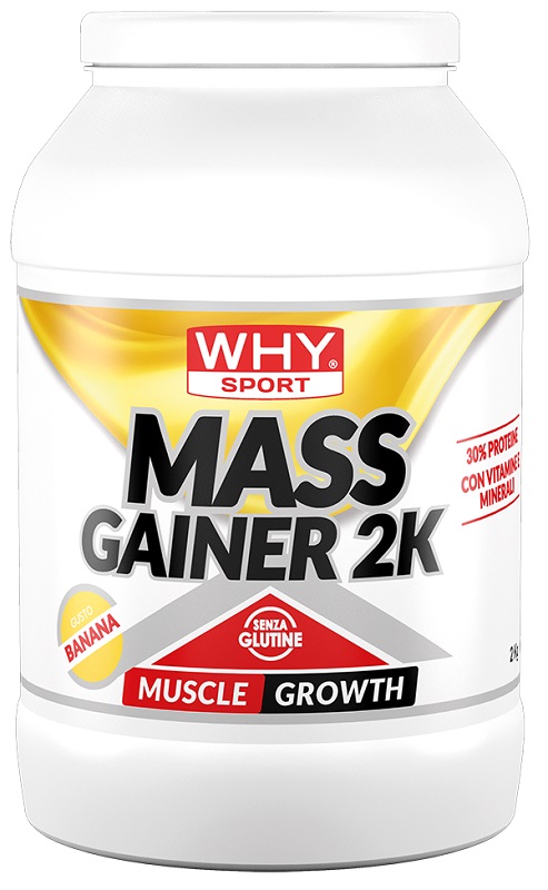 WHYSPORT MASS GAINER BANANA2KG