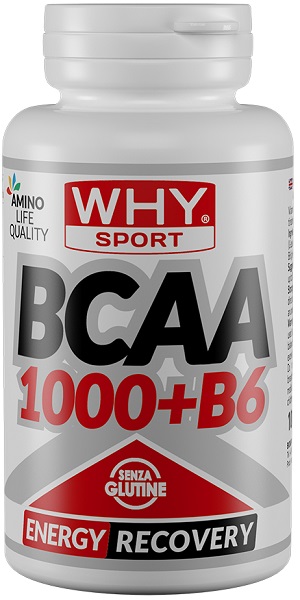 WHYSPORT BCAA 1000+B6 100CPR