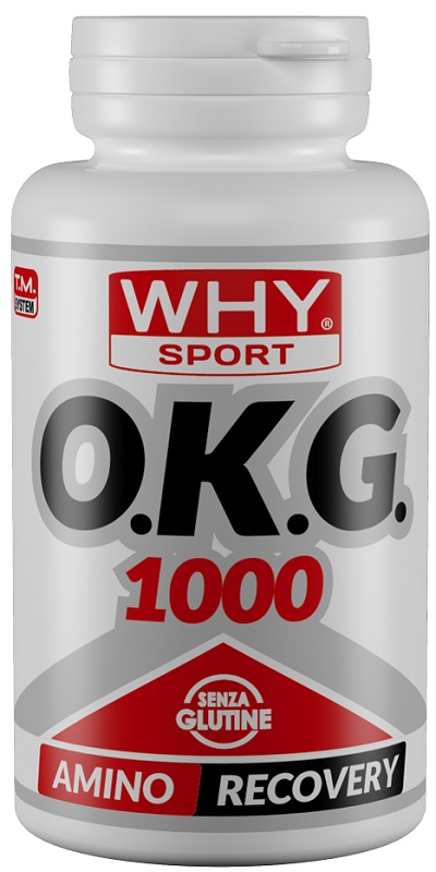 OKG 1000 60CPR