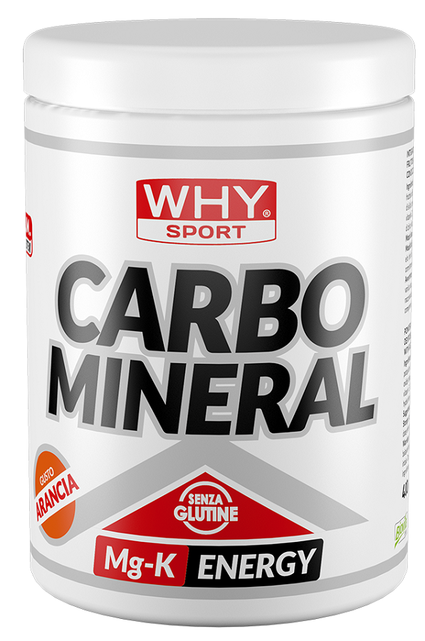 WHYSPORT CARBO MINERAL 400G