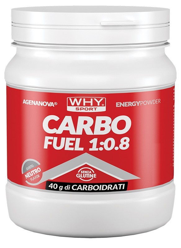 WHYSPORT CARBO FUEL 1:0,8 POLV