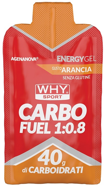 WHYSPORT CARBO FUEL 1:0,8 ARA