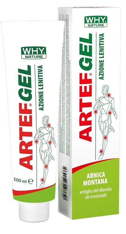 WHYNATURE ARTEF GEL 100ML