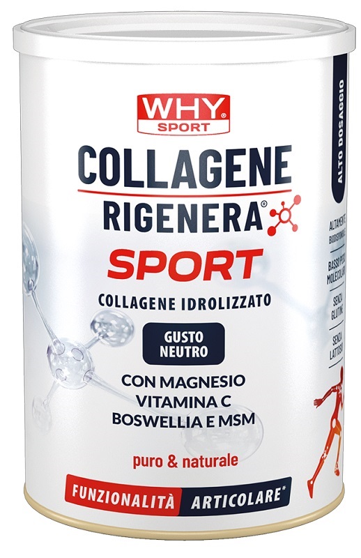 WHYSPORT COLLAG RIGEN SPORT
