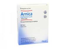 ARNICA COMPOSITUM VET*5F 5ML