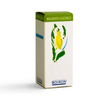 AESCULUS HIPPOCAST 60ML MG