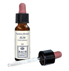 ELM ORIGINAL 10ML GTT