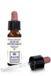STAR OF BETHLEHEM 10ML GTT