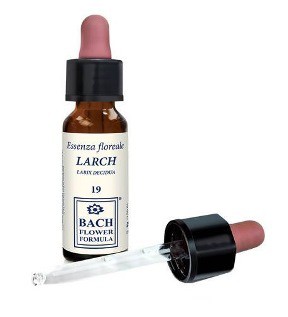 LARCH ORIGINAL 10ML GTT