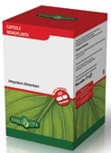 VITE ROSSA 60CPS 400MG