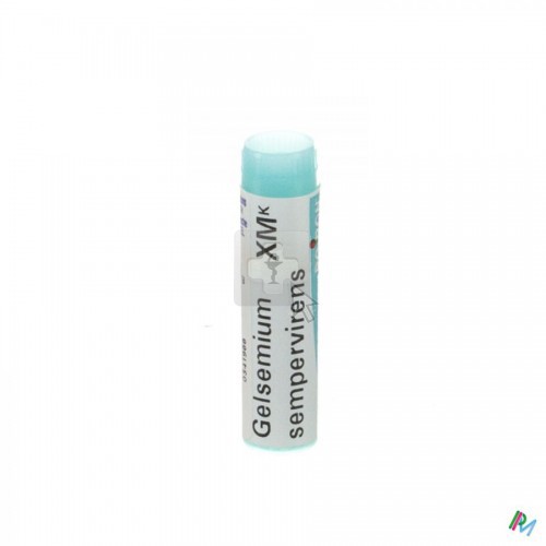 GELSEMIUM SEMPERV XMK GL