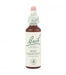 BACH CENTER ESS CHESTNUT 20ML